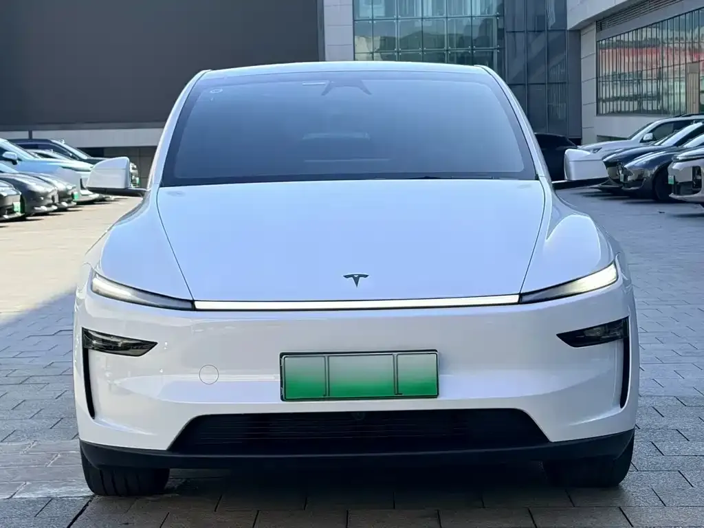Tesla Model Y — фото 2