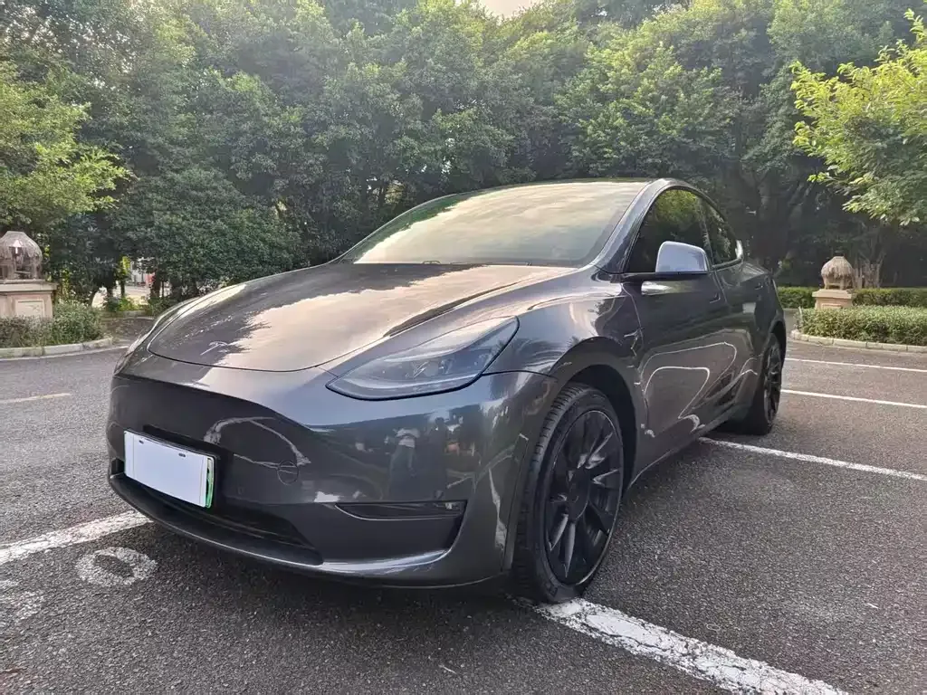 Tesla Model Y — фото 1