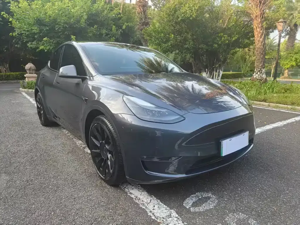 Tesla Model Y — фото 8