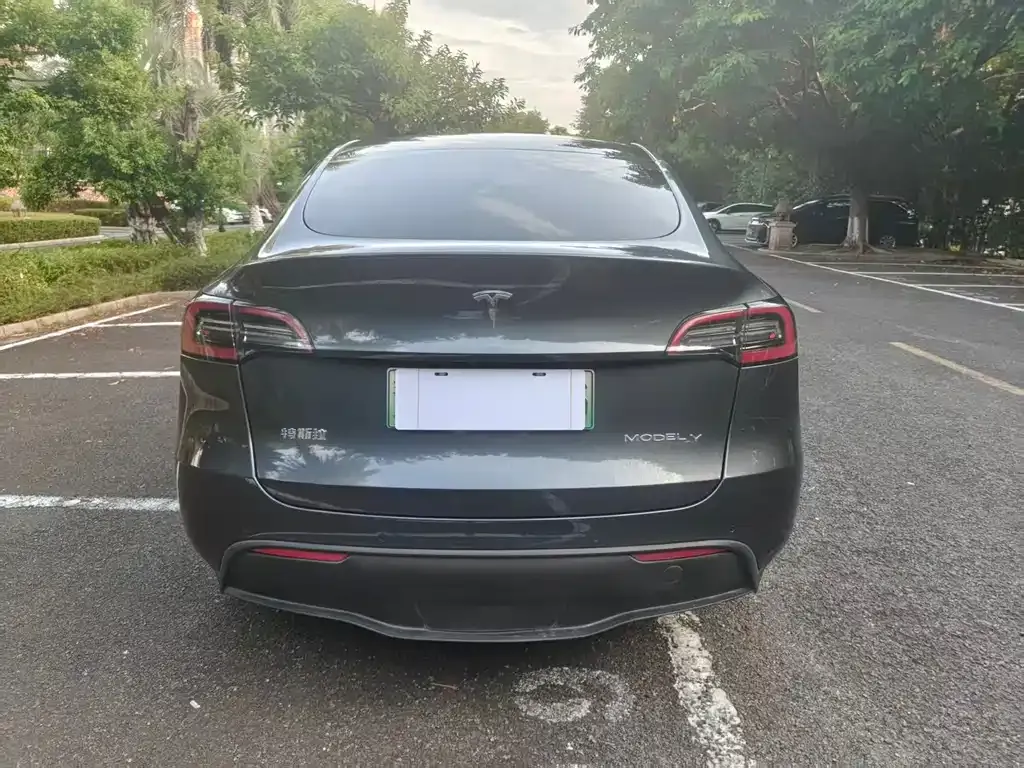Tesla Model Y — фото 10