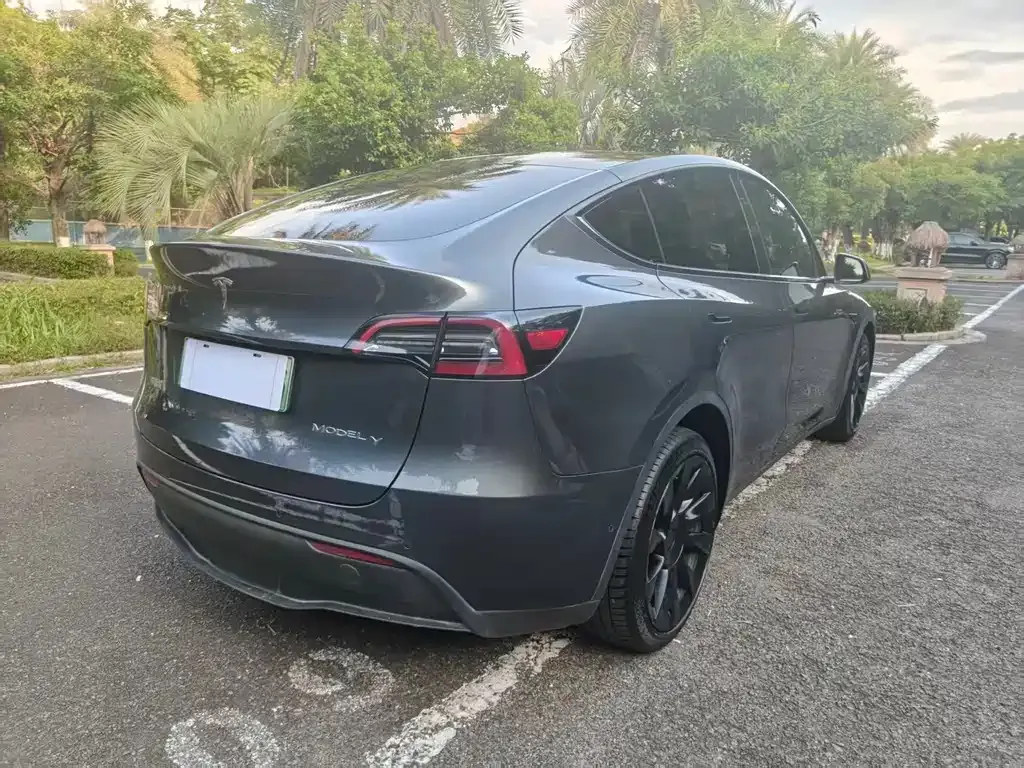 Tesla Model Y — фото 6