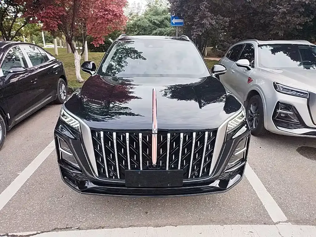 Hongqi HS5 2024 из CN, фото 8