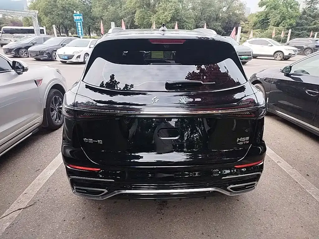 Hongqi HS5 2024 из CN, фото 6