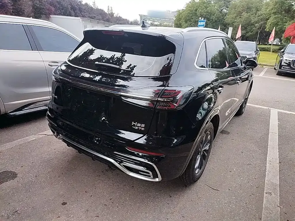 Hongqi HS5 2024 из CN, фото 10