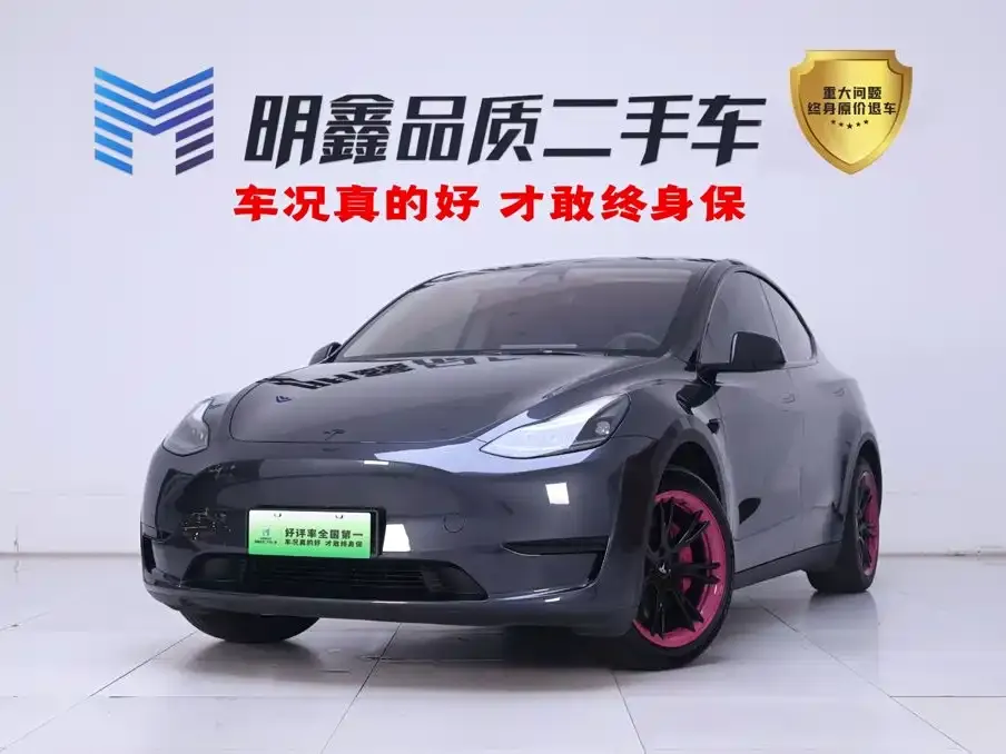 Tesla Model Y — фото 1