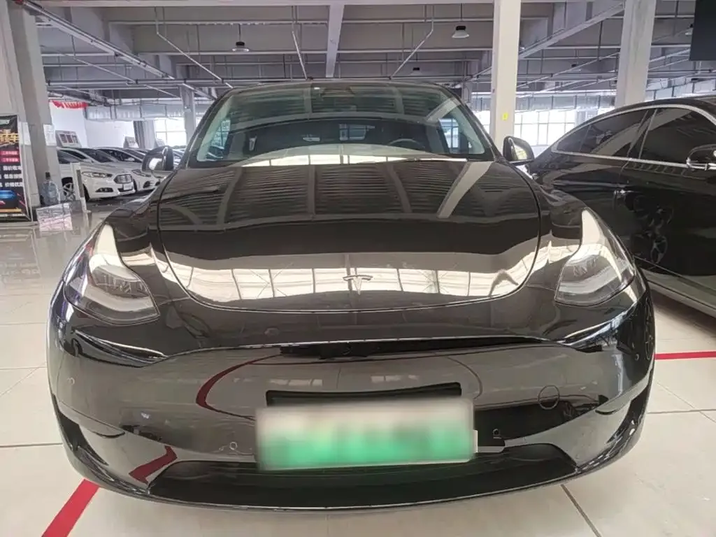 Tesla Model Y — фото 2