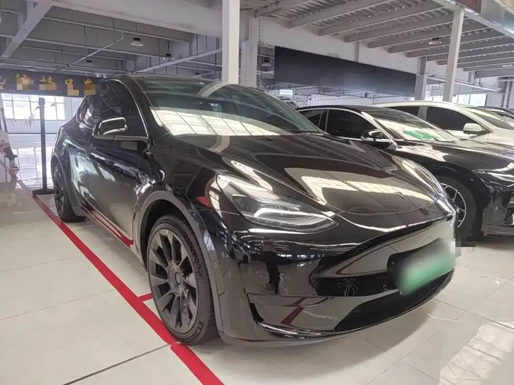 Tesla Model Y — фото 3
