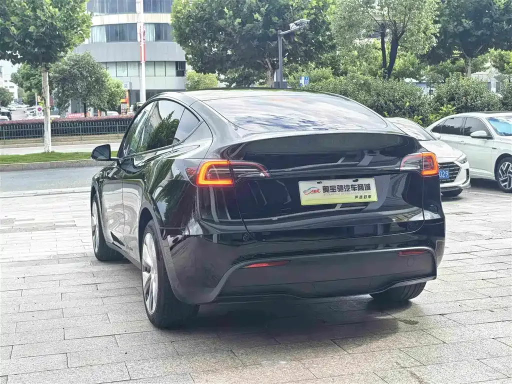 Tesla Model Y — фото 8