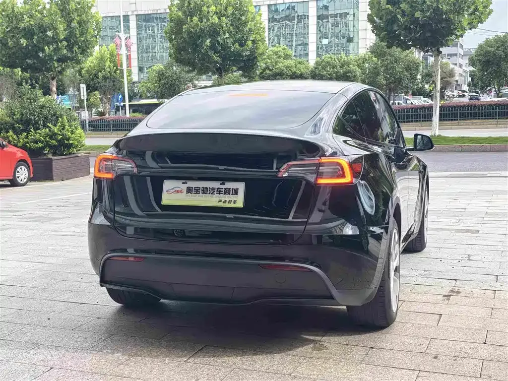 Tesla Model Y — фото 10