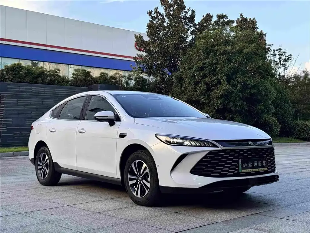 BYD Qin PLUS — фото 9