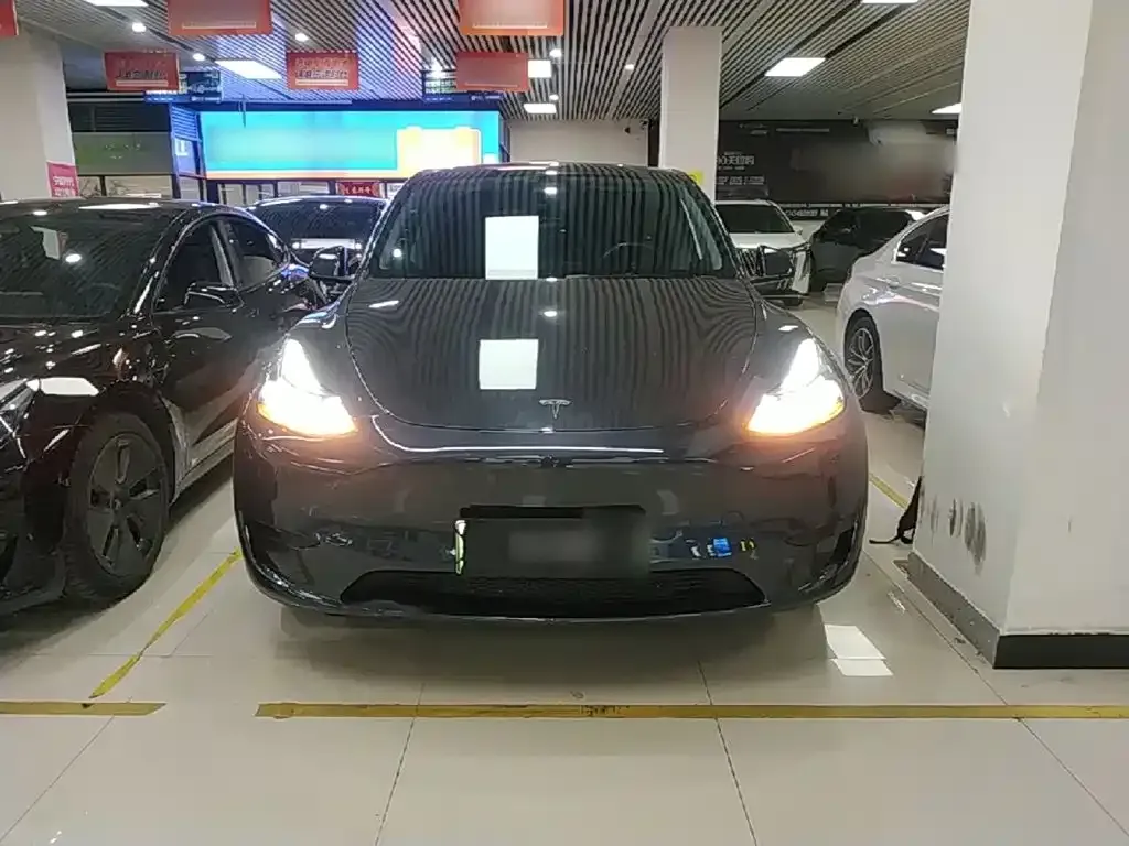 Tesla Model Y — фото 5