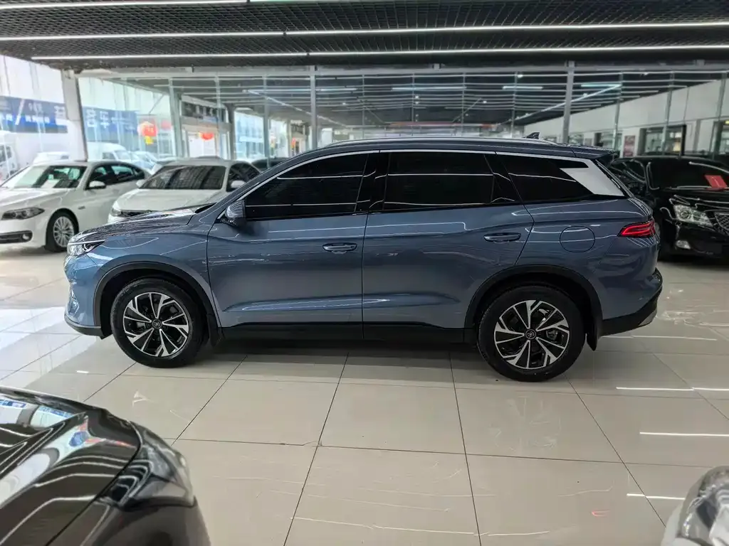 BYD Pro New Energy — фото 8