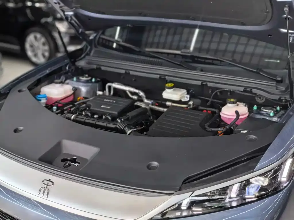 BYD Pro New Energy — фото 6