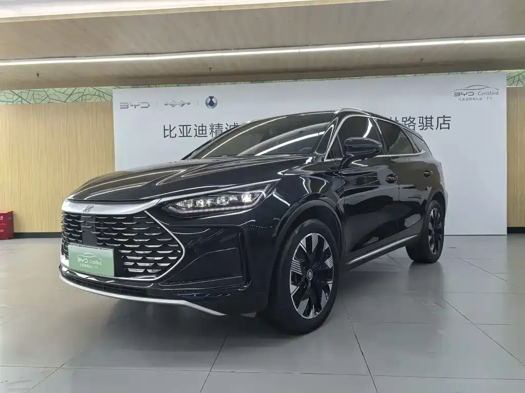 BYD Tang New Energy — фото 1