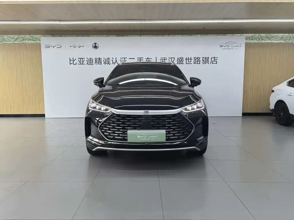 BYD Tang New Energy — фото 6