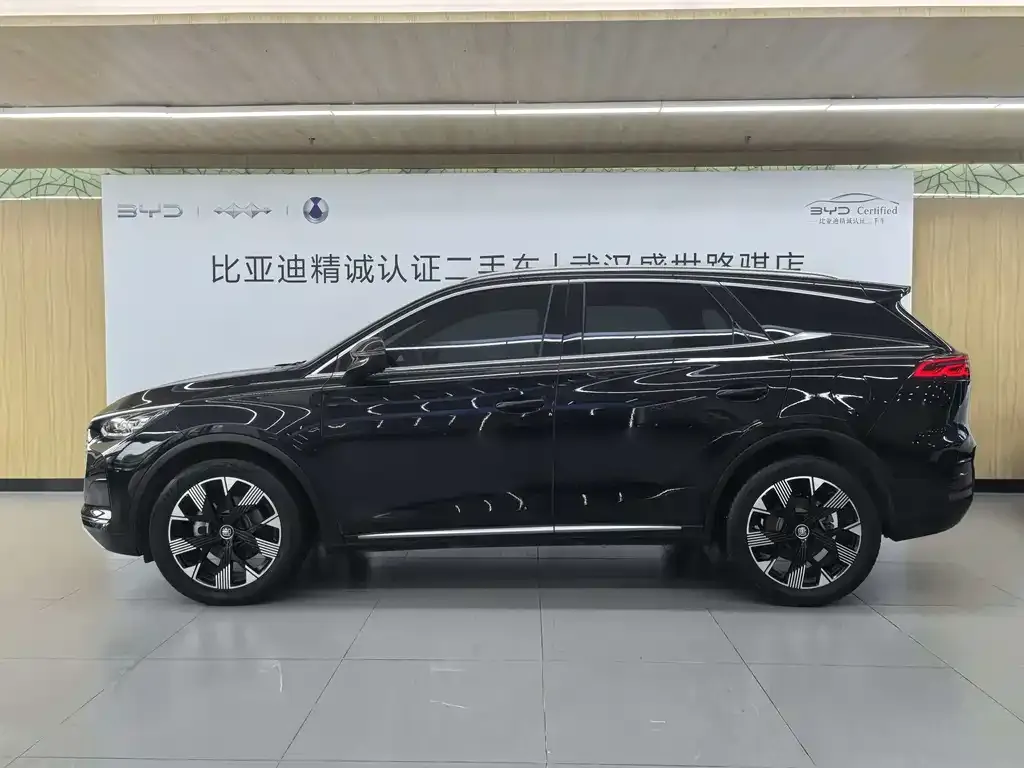 BYD Tang New Energy — фото 3