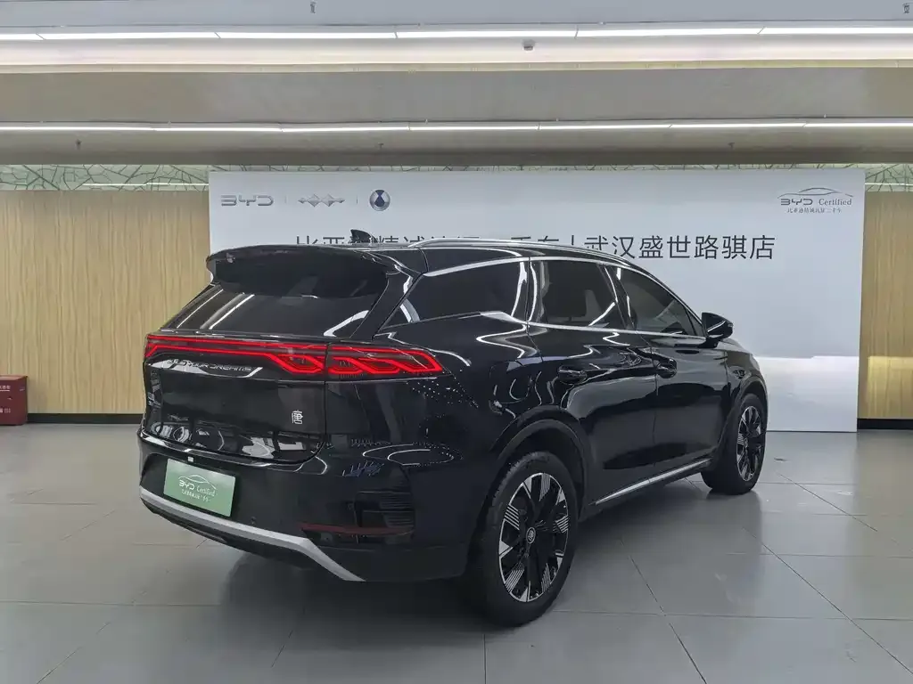 BYD Tang New Energy — фото 5