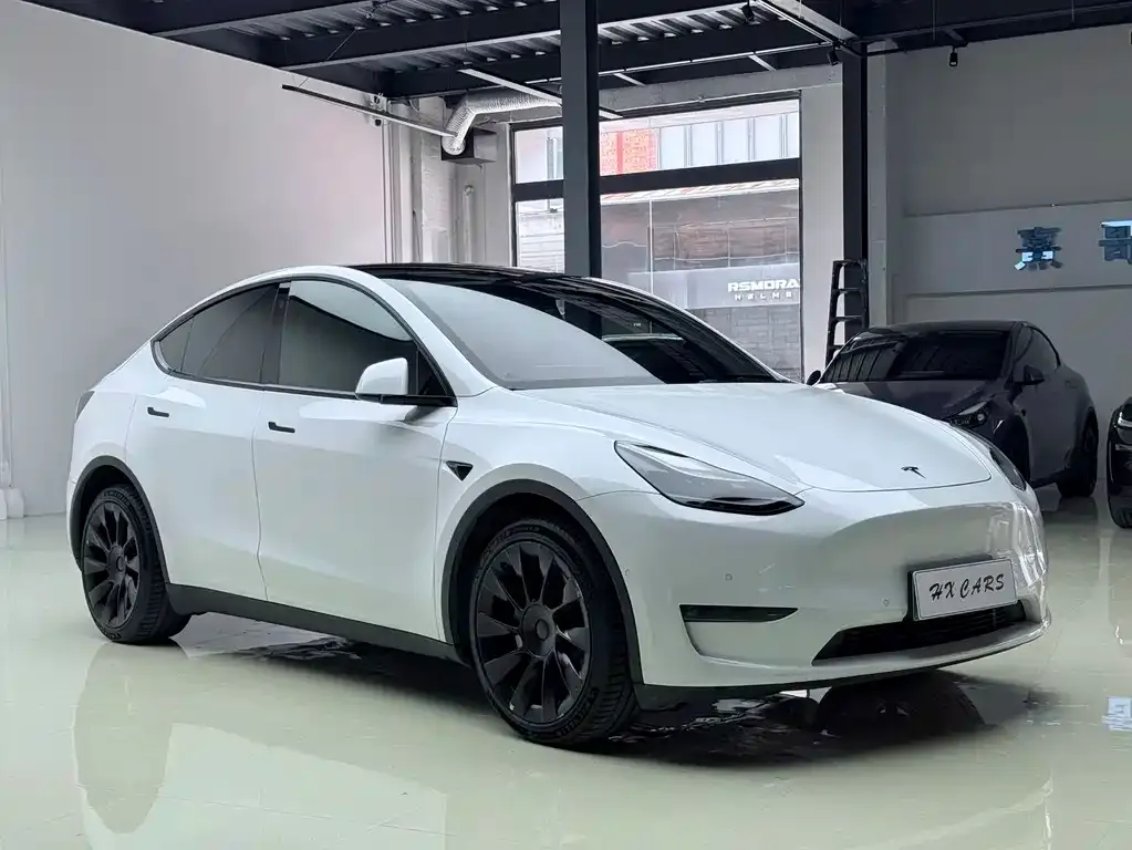 Tesla Model Y — фото 9