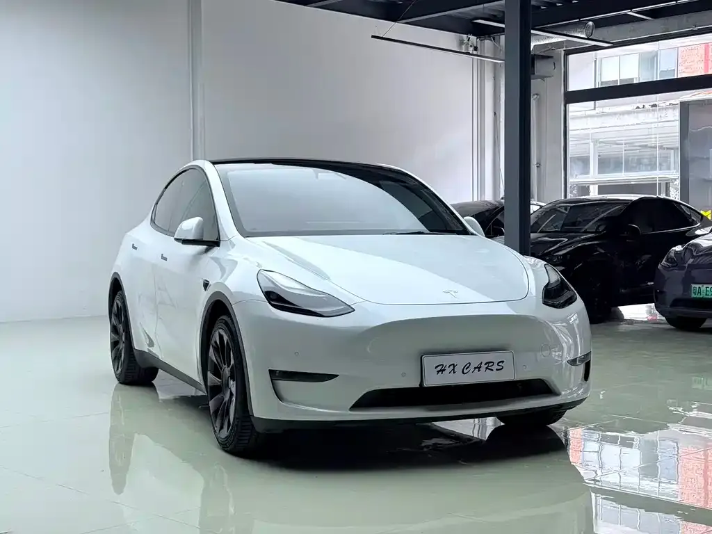Tesla Model Y — фото 10