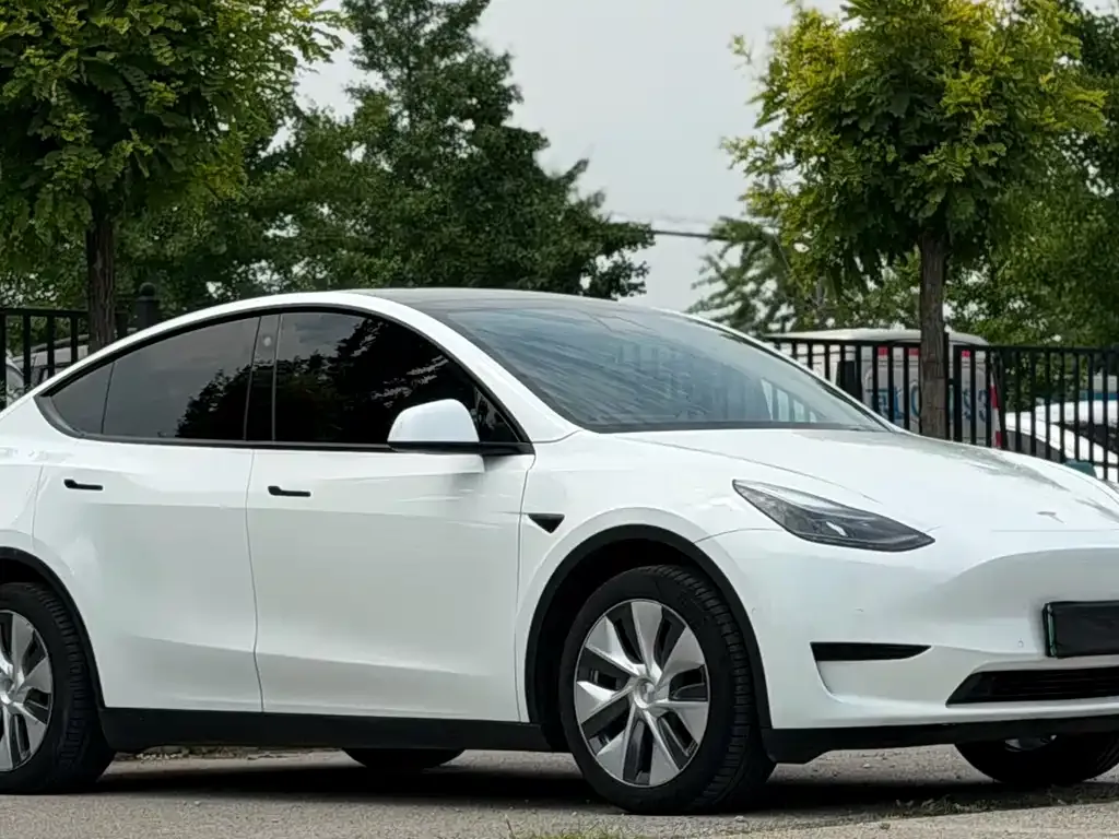 Tesla Model Y — фото 5