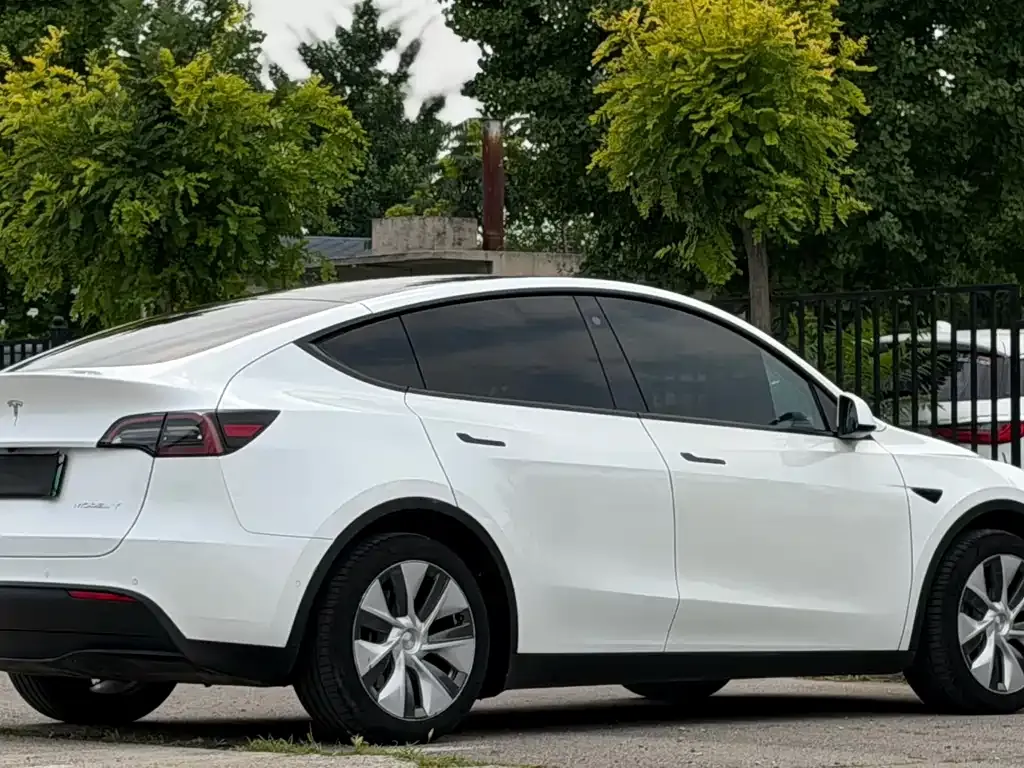 Tesla Model Y — фото 9