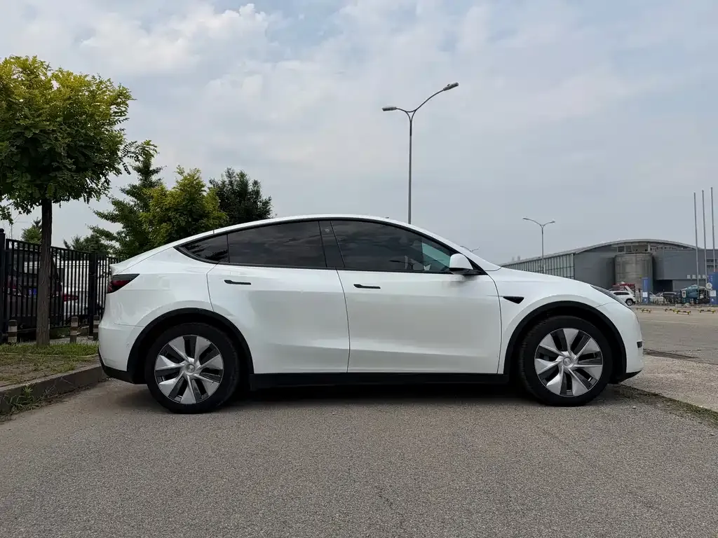 Tesla Model Y — фото 10