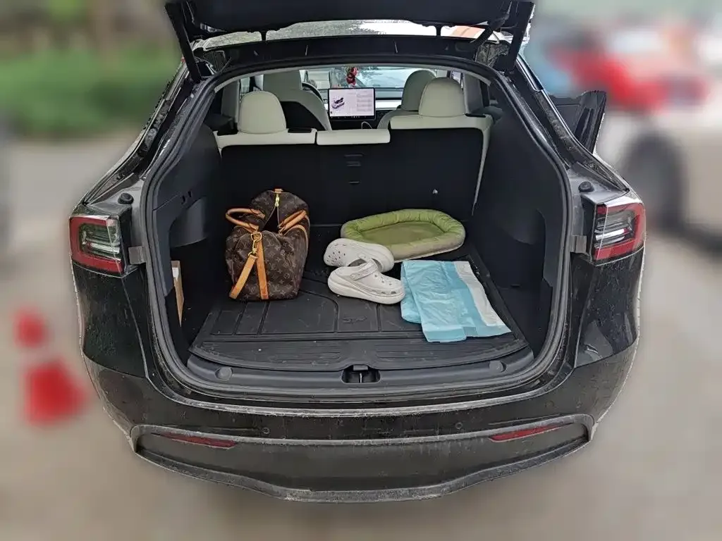 Tesla Model Y — фото 9
