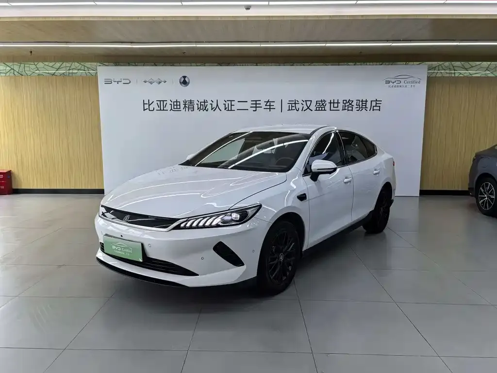 BYD Qin PLUS — фото 1
