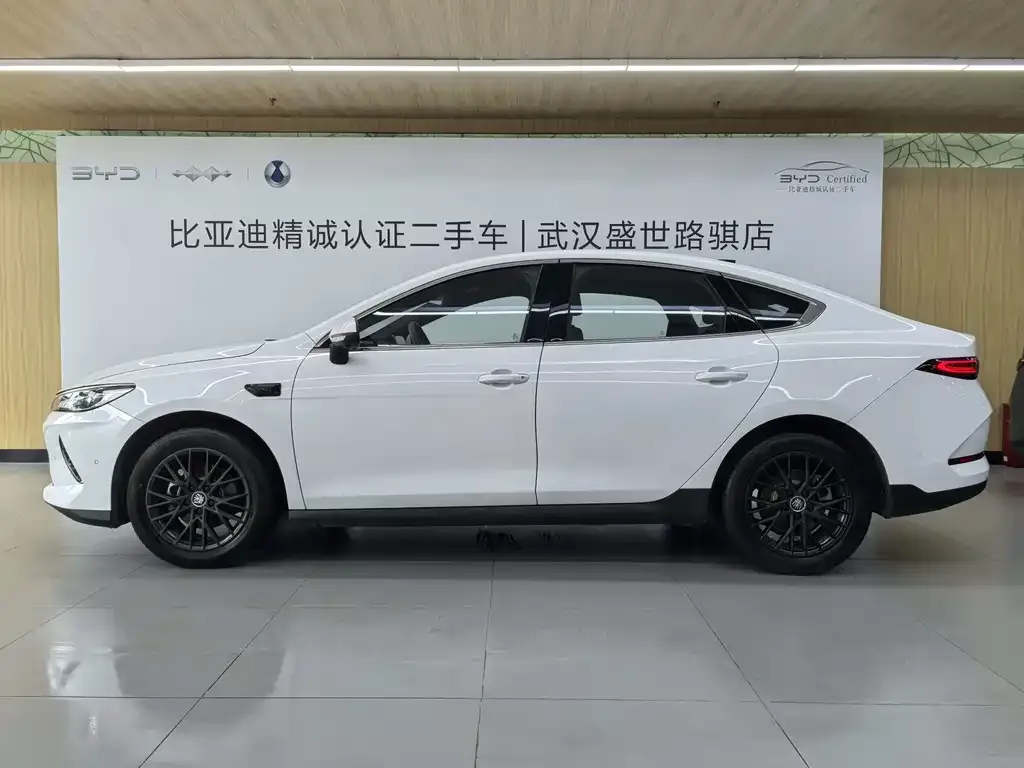 BYD Qin PLUS — фото 4