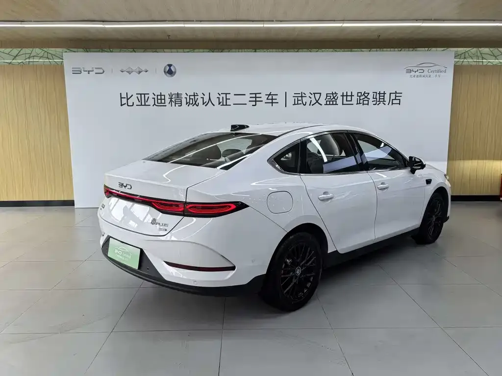 BYD Qin PLUS — фото 10