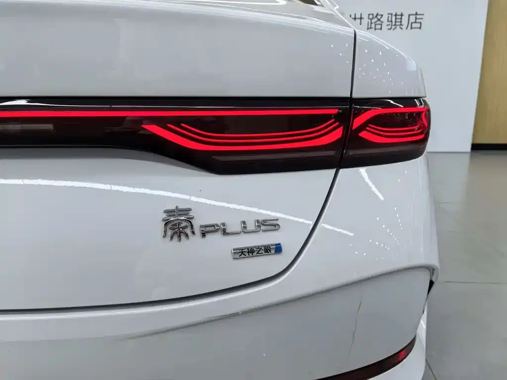 BYD Qin PLUS — фото 2