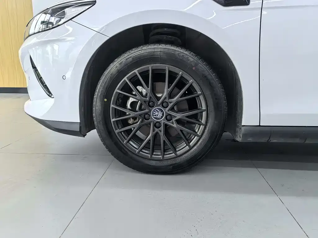 BYD Qin PLUS — фото 8