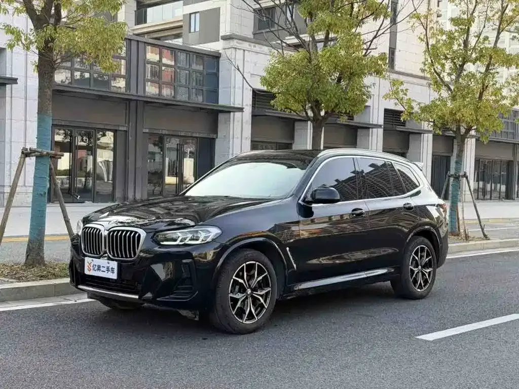 BMW X3 — фото 1