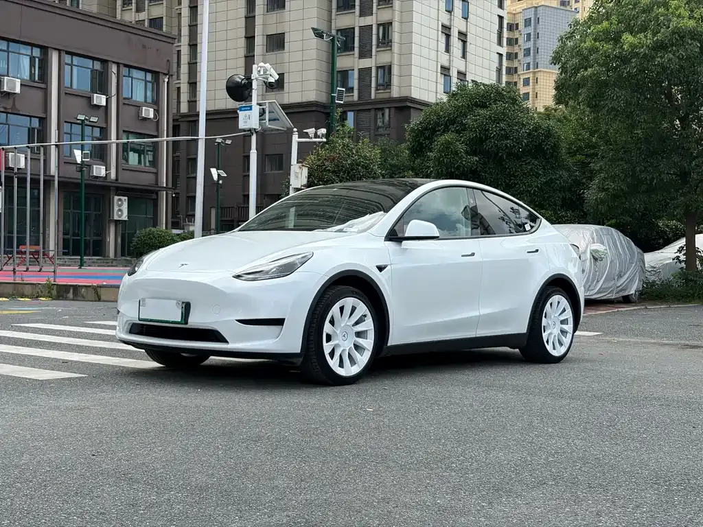 Tesla Model Y — фото 1