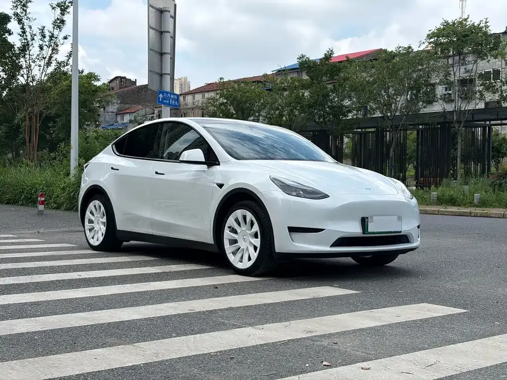 Tesla Model Y — фото 9