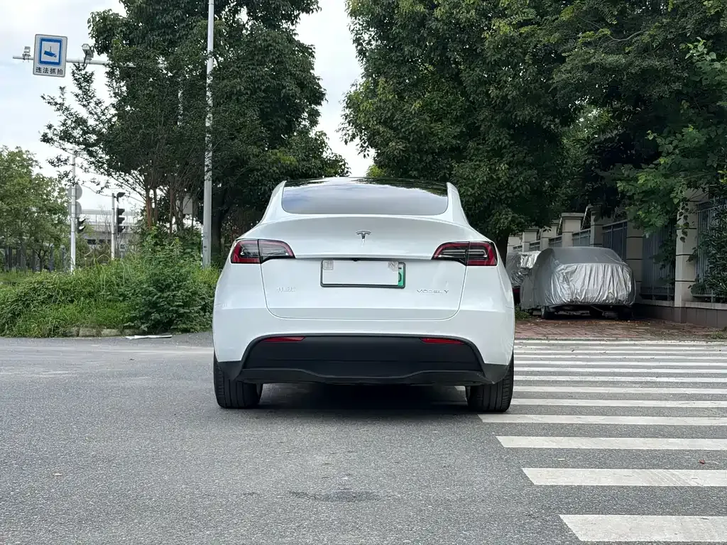 Tesla Model Y — фото 10