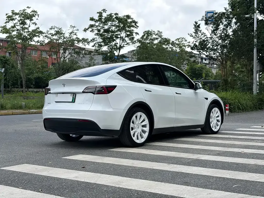 Tesla Model Y — фото 7