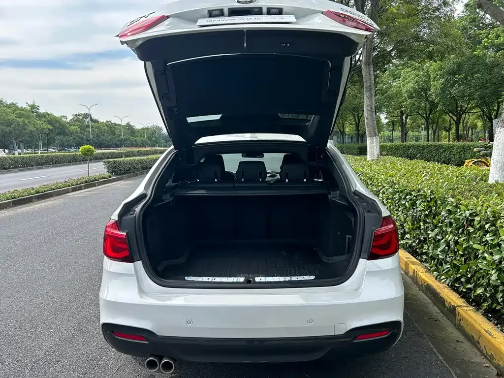 BMW 3 Series GT — фото 9