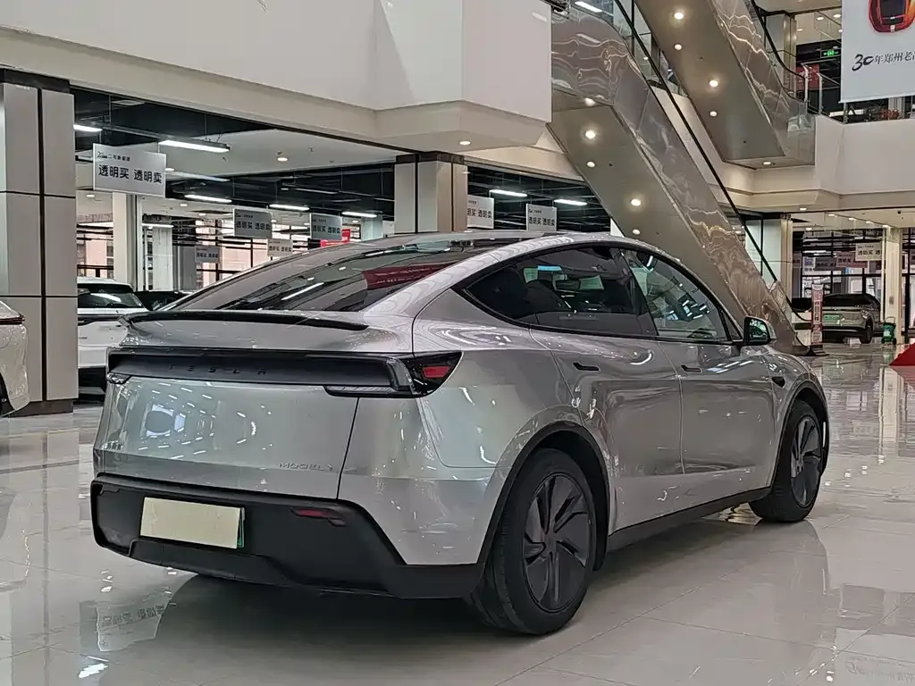 Tesla Model Y — фото 6