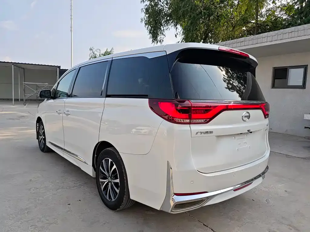 GAC Motor Trumpchi M8 2024 из CN, фото 9