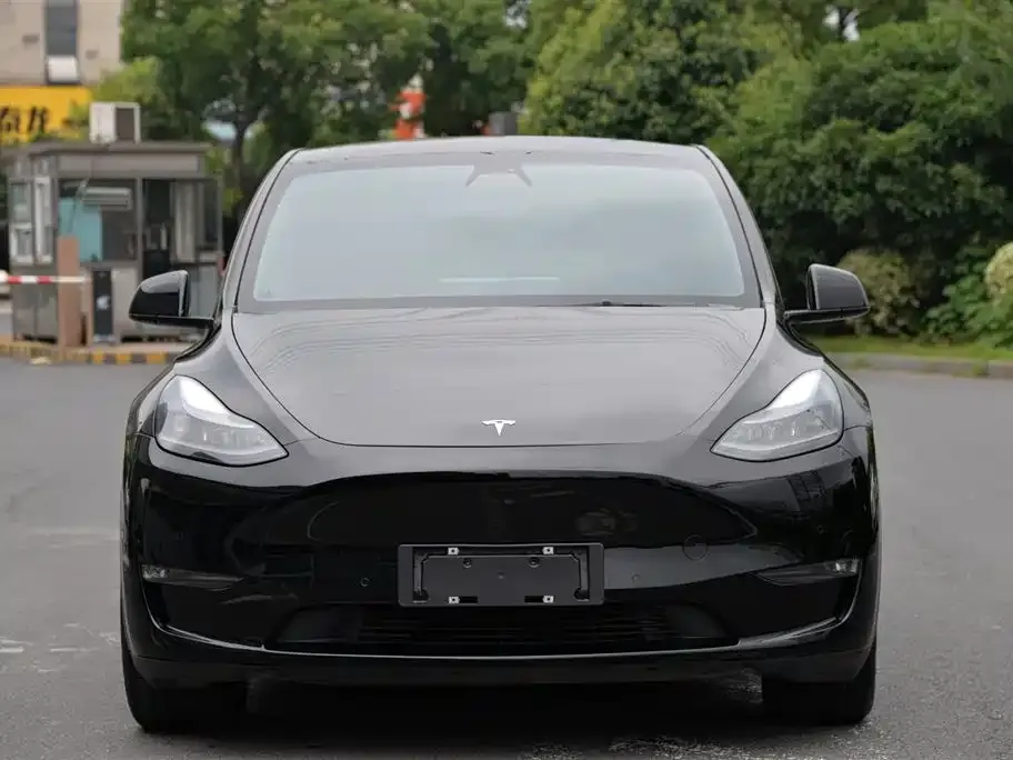 Tesla Model Y — фото 1