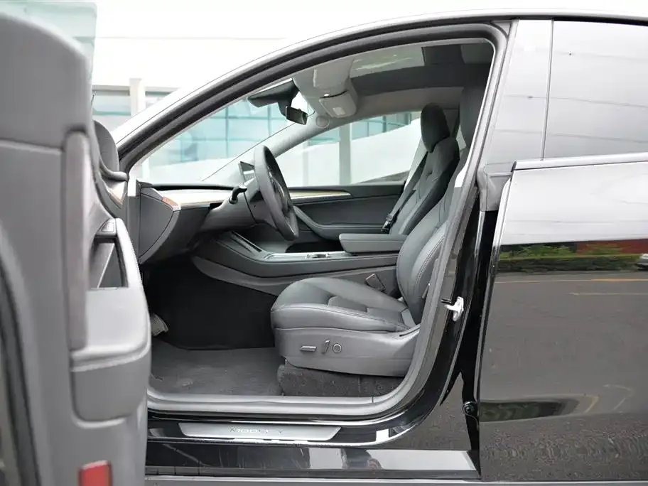 Tesla Model Y — фото 10