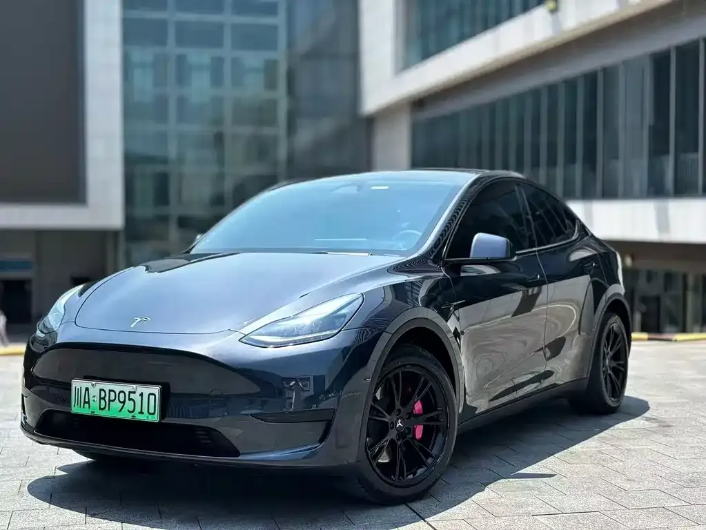 Tesla Model Y — фото 1
