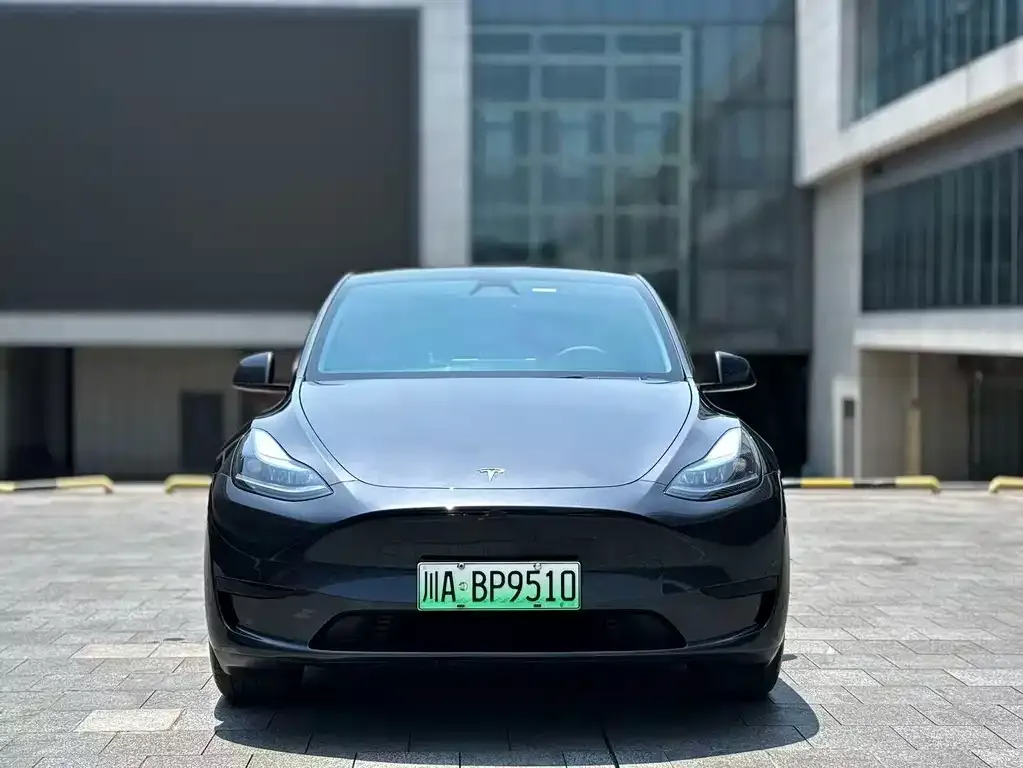 Tesla Model Y — фото 6