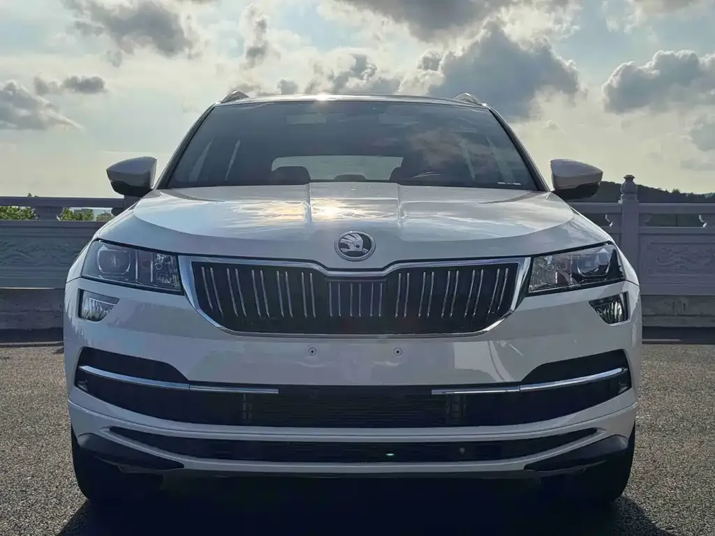 Skoda Karoq — фото 6