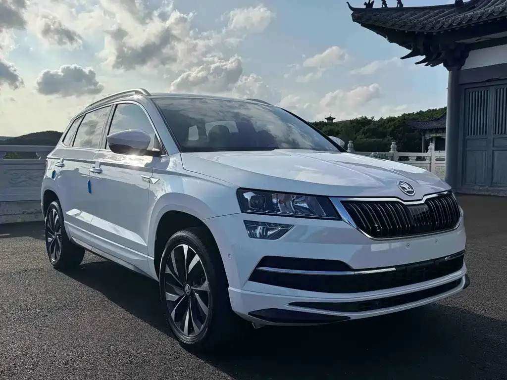 Skoda Karoq — фото 9