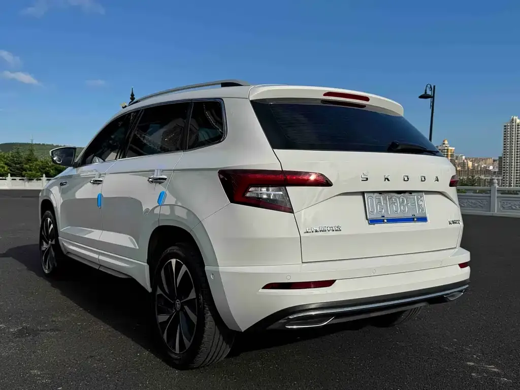 Skoda Karoq — фото 8