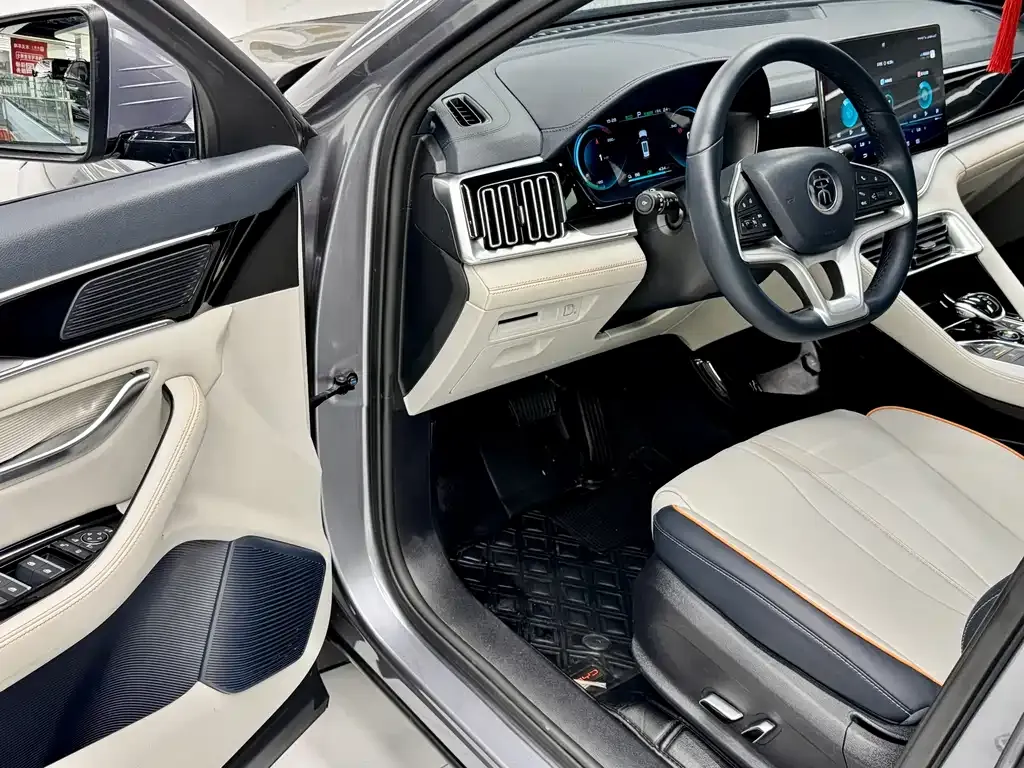 BYD PLUS New Energy — фото 10