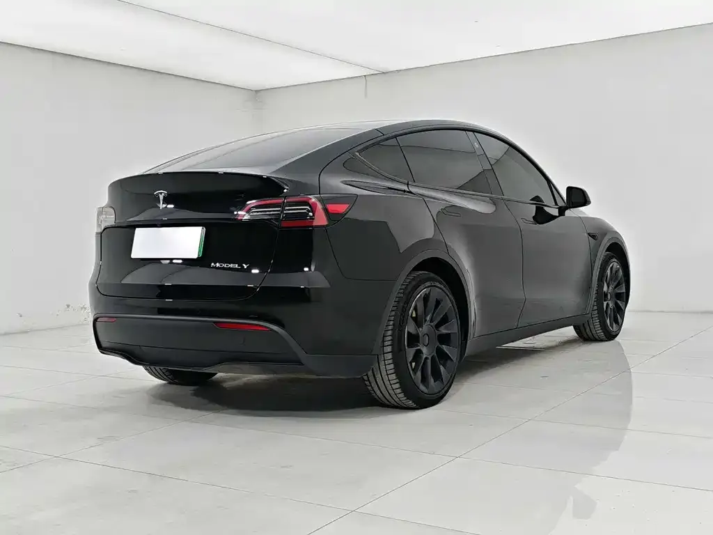 Tesla Model Y — фото 5