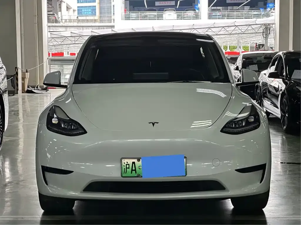 Tesla Model Y — фото 5